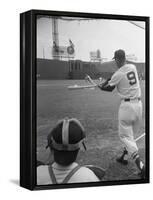 Ted Williams Batting at Fenway Park-Ralph Morse-Framed Premier Image Canvas