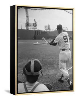 Ted Williams Batting at Fenway Park-Ralph Morse-Framed Premier Image Canvas