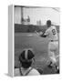 Ted Williams Batting at Fenway Park-Ralph Morse-Framed Premier Image Canvas