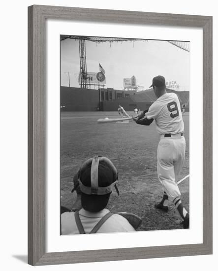 Ted Williams Batting at Fenway Park-Ralph Morse-Framed Premium Photographic Print