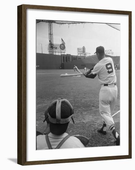 Ted Williams Batting at Fenway Park-Ralph Morse-Framed Premium Photographic Print