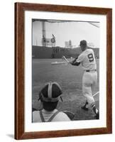 Ted Williams Batting at Fenway Park-Ralph Morse-Framed Premium Photographic Print