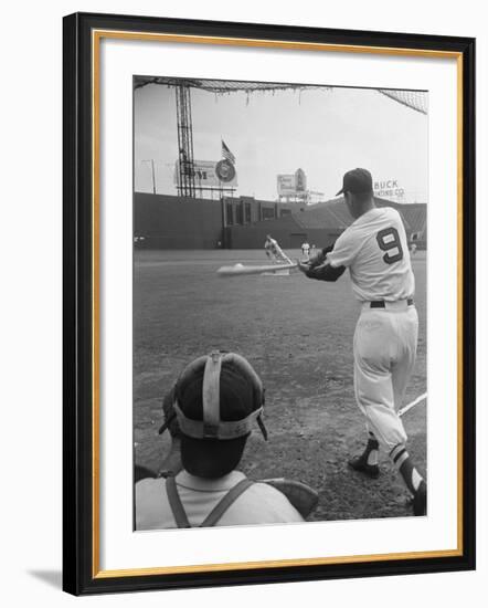 Ted Williams Batting at Fenway Park-Ralph Morse-Framed Premium Photographic Print