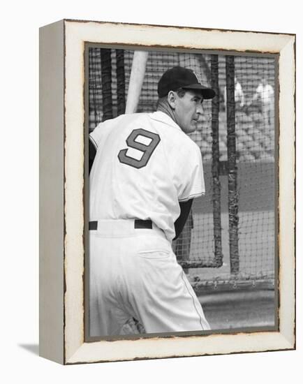 Ted Williams During Batting Practice-Ralph Morse-Framed Premier Image Canvas