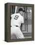 Ted Williams During Batting Practice-Ralph Morse-Framed Premier Image Canvas