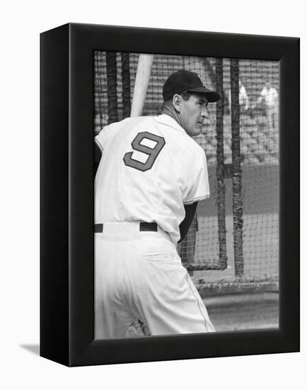 Ted Williams During Batting Practice-Ralph Morse-Framed Premier Image Canvas