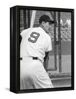 Ted Williams During Batting Practice-Ralph Morse-Framed Premier Image Canvas