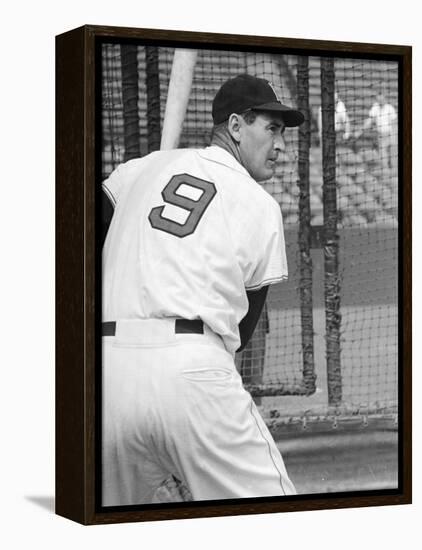 Ted Williams During Batting Practice-Ralph Morse-Framed Premier Image Canvas