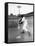 Ted Williams Taking a Swing During Batting Practice-Ralph Morse-Framed Premier Image Canvas