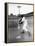 Ted Williams Taking a Swing During Batting Practice-Ralph Morse-Framed Premier Image Canvas