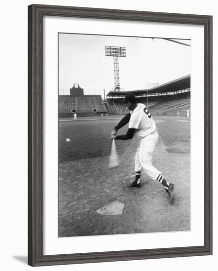 Ted Williams Taking a Swing During Batting Practice-Ralph Morse-Framed Premium Photographic Print