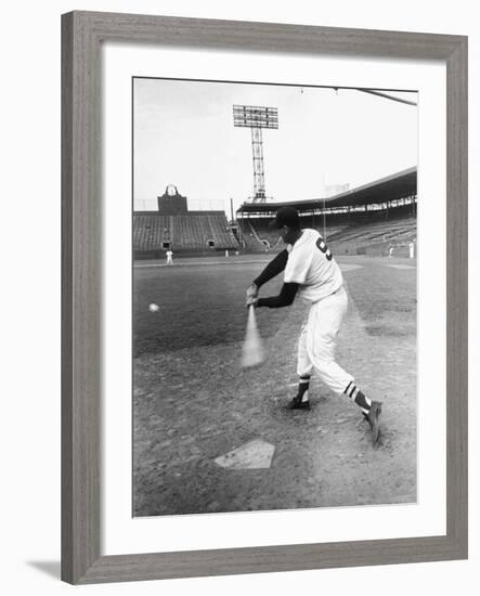 Ted Williams Taking a Swing During Batting Practice-Ralph Morse-Framed Premium Photographic Print