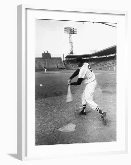 Ted Williams Taking a Swing During Batting Practice-Ralph Morse-Framed Premium Photographic Print