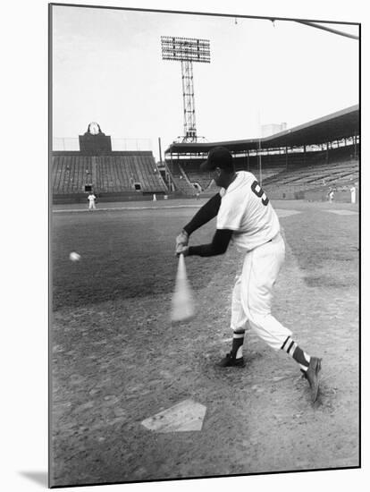 Ted Williams Taking a Swing During Batting Practice-Ralph Morse-Mounted Premium Photographic Print