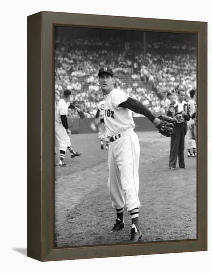 Ted Williams Throwing Baseball-Ralph Morse-Framed Premier Image Canvas
