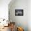 Teddy Bear Cactus or Jumping Cholla in Joshua Tree National Park, California-Ian Shive-Framed Premier Image Canvas displayed on a wall