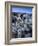 Teddy Bear Cactus or Jumping Cholla in Joshua Tree National Park, California-Ian Shive-Framed Photographic Print