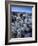 Teddy Bear Cactus or Jumping Cholla in Joshua Tree National Park, California-Ian Shive-Framed Photographic Print