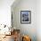 Teddy Bear Cactus or Jumping Cholla in Joshua Tree National Park, California-Ian Shive-Framed Photographic Print displayed on a wall