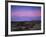 Teddy Bear Cholla Cactus, Anza-Borrego Desert State Park, California, USA-Adam Jones-Framed Photographic Print