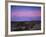 Teddy Bear Cholla Cactus, Anza-Borrego Desert State Park, California, USA-Adam Jones-Framed Photographic Print