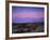 Teddy Bear Cholla Cactus, Anza-Borrego Desert State Park, California, USA-Adam Jones-Framed Photographic Print