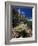 Teddy Bear Cholla (Opuntia Bigelovii), and Saguaro Cacti, Tonto National Monument, Arizona, USA-Ruth Tomlinson-Framed Photographic Print