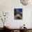 Teddy Bear Cholla (Opuntia Bigelovii), and Saguaro Cacti, Tonto National Monument, Arizona, USA-Ruth Tomlinson-Photographic Print displayed on a wall