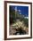 Teddy Bear Cholla (Opuntia Bigelovii), and Saguaro Cacti, Tonto National Monument, Arizona, USA-Ruth Tomlinson-Framed Photographic Print