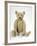 Teddy Bear in Yorkshire Cloth-null-Framed Photographic Print