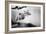 Teddy Bear Mobile-null-Framed Photo