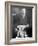 Teddy Bear Placed Before the Formal Portrait of Pres. Theodore Roosevelt-Nina Leen-Framed Photographic Print