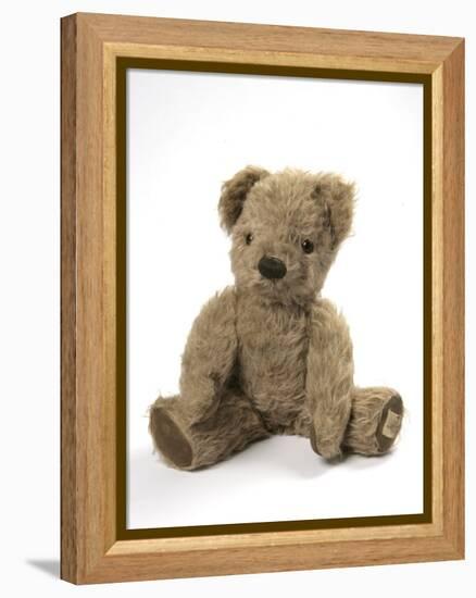 Teddy Bear, Stuffed and Sewn Mohair Plush-null-Framed Premier Image Canvas