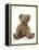 Teddy Bear, Stuffed and Sewn Mohair Plush-null-Framed Premier Image Canvas