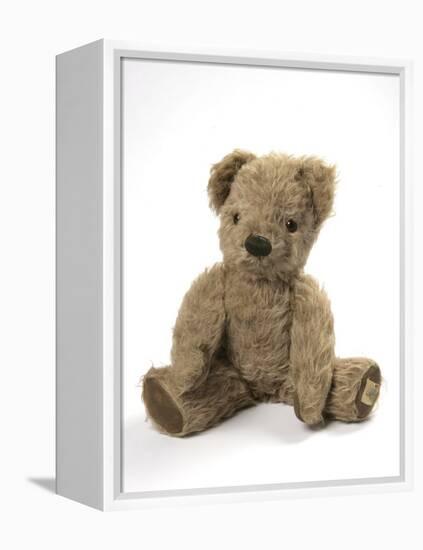 Teddy Bear, Stuffed and Sewn Mohair Plush-null-Framed Premier Image Canvas