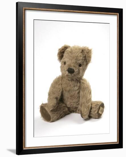 Teddy Bear, Stuffed and Sewn Mohair Plush-null-Framed Photographic Print