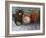 Teddy Bear Time-Joseph Marshal Foster-Framed Art Print