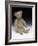 Teddy Bear-null-Framed Photographic Print