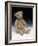 Teddy Bear-null-Framed Photographic Print