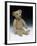 Teddy Bear-null-Framed Photographic Print