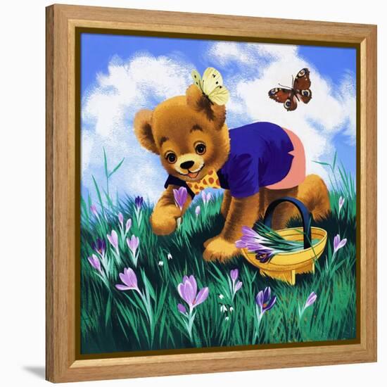 Teddy Bear-Francis Phillipps-Framed Premier Image Canvas