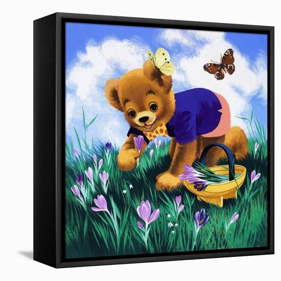 Teddy Bear-Francis Phillipps-Framed Premier Image Canvas