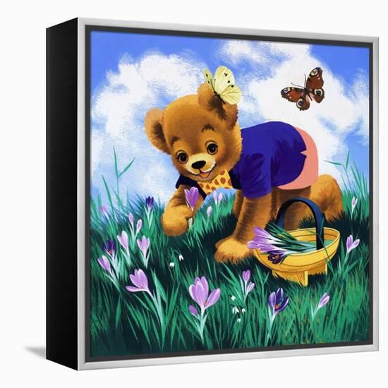 Teddy Bear-Francis Phillipps-Framed Premier Image Canvas