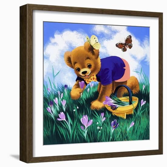 Teddy Bear-Francis Phillipps-Framed Giclee Print