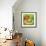 Teddy Bear-Francis Phillipps-Framed Giclee Print displayed on a wall