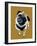 Teddy the Pug on Golden Yellow, 2020, (Pen and Ink)-Mike Davis-Framed Giclee Print