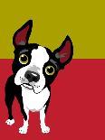Illustration of a Boston Terrier Dog-TeddyandMia-Art Print