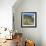 Teddybear Cholla Cactus in Arizona Desert Mountains-Anna Miller-Framed Photographic Print displayed on a wall