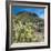 Teddybear Cholla Cactus in Arizona Desert Mountains-Anna Miller-Framed Photographic Print