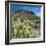 Teddybear Cholla Cactus in Arizona Desert Mountains-Anna Miller-Framed Photographic Print